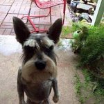 [드루와] 영잘알 들어와줘 제발