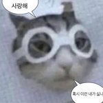 예뻐졌다는 말은 <b>립</b>서비스겠지?