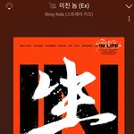 [스키즈] 미/친/<b>ex</b>