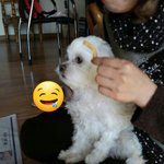 강아지의 기대를 <b>눈치</b> 못챘어요
