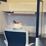 <b>다채</b>로운 독서실빌런