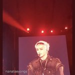[NCT칠프] Zoo <b>이태용</b> 대박…