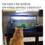 [NCT칠프] <b>슈주</b> 선배님 보는 태일이