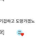 트와 <b>나연</b>이랑 블핑 지수는 뭘보고 도망갈까