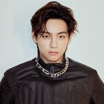 야씨 <b>뷔</b> 진짜