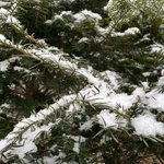 겨울 되기 전에 겨울로망쓰고 가쟈 ❄️(제발 <b>드러</b>와서 공감하고가쟈)