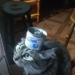 인간 나를 보거라