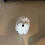 연애 많이 해봤을거 같다는건 <b>뭔</b><b>얘기</b>냐