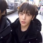 이재현 <b>특유</b>의 뽀둥뽀둥한 느낌이 좋아