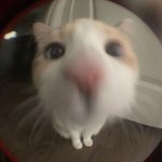 [댓글부탁해] 택배 <b>다른</b> 사람 <b>이름</b>으로 받아도돼?