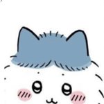 하치와레 이 짤 <b>원본</b> 있는사람