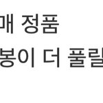 [NCT드림] 아 진짜 플미충들 개싫다