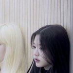 사회성 ㅆㅎㅌㅊ면 어캄