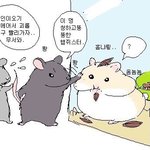 [댓글부탁해] <b>수포</b>자는 대학 어디 감?ㄹㅇ