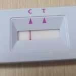 얘들아 코로나 아니겠지...?