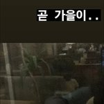 [방탄소년단] 아니 남준이