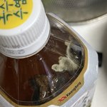 [이것점봐줘] 옥수수차 괴<b>생명체</b>