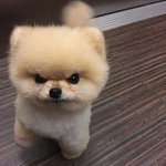 [댓글부탁해] 애<b>두라</b> 근데 지잡대..