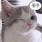 [드루와] 내 친구 조카 소름끼치는데 내가 <b>예민</b>한건가