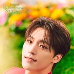 세븐틴 짤털 <b>요청</b>받고 시작할께