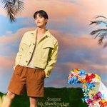 세븐틴 짤털4