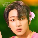 세븐틴 짤털6