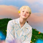 세븐틴 짤털7