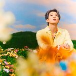 세븐틴 짤털8