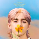 세븐틴 짤털13