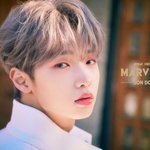 엑스원 짤털5
