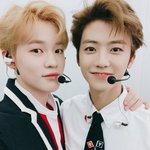 [NCT드림] 냥냥이 <b>조합</b>