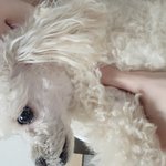 <b>영훈</b>이 형 사진인데