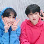 얘네 둘 내가 <b>납치</b>해서 키우고싶다