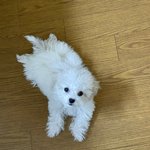 터진건 엔시티 <b>제노</b> 하난데