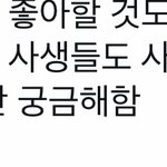 [NCT드림] 이 사람은 찐 <b>사생</b>이네
