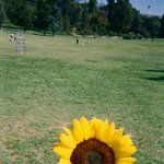 [방탄소년단] 주니 포토북ㅠㅠ