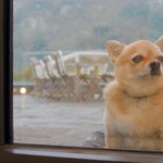 [NCT칠프] 걍 진짜 일<b>이</b>칠 빨아서 너무 <b>행복</b>하다