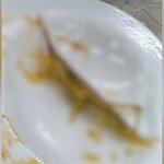 개구리 이어 급식서 메뚜기 <b>사체</b>…"밥 어떻게 먹나" 불안