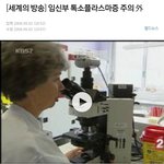 각종 세균 덩어리 길냥이 절대! 만지지 마세요!!