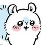 알<b>페스</b> 끊고싶음