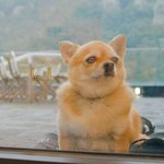 [NCT칠프] 밤 새버림....