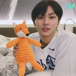 [이것좀봐줘] <b>선우</b> 여우인형