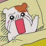 [드루와] 겨울에 ㅈ됐다