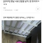 강아지가 매일 <b>사료</b> 남기는데..