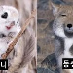 학교에 벌레가 알 깠다는 증거
