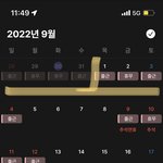 혹시 <b>휴무</b> 스케줄 잘 아는사람 있음?