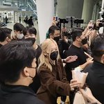 로제 <b>인성</b>