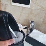 <b>낭</b>편 생선 프라# 짝퉁 감정좀ㅠㅠ