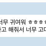 [NCT드림] ㅌㅇㄴ버블 우리천러 또 <b>형아</b>좋아고양이네
