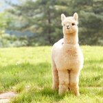 [댓글부탁해] 얘들아 내가 정신병자인걸까? 꼭좀 읽어줘